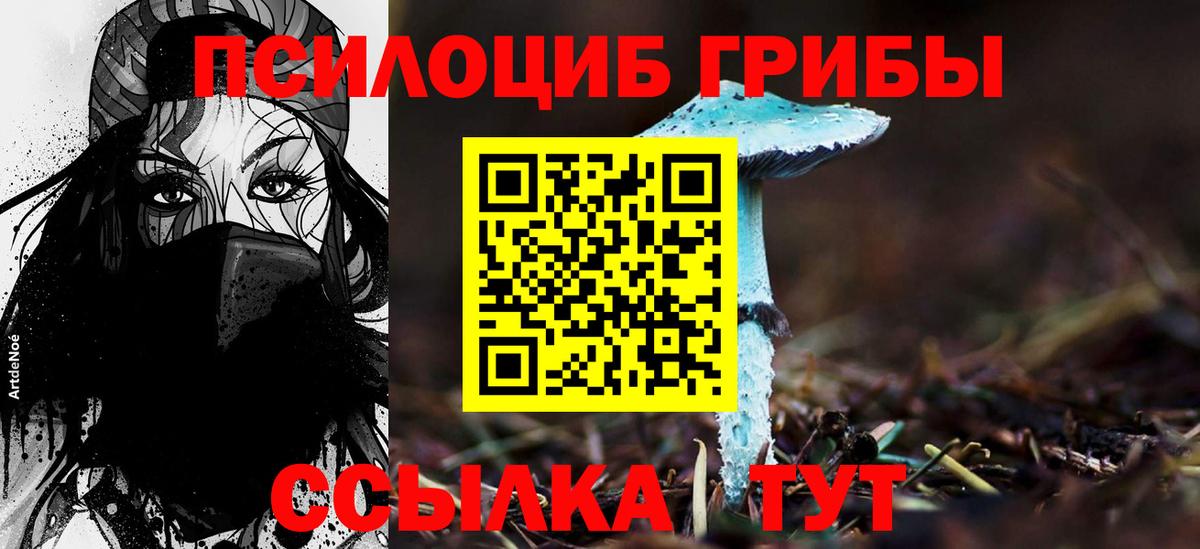 Галлюциногенные грибы Magic Shrooms  Вход с VPN  Галлюциногенные грибы мицелий  Сосновоборск 